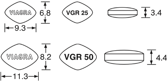 バイアグラの外形